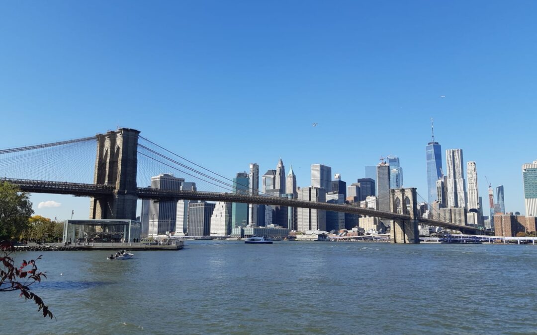 55^ MARATONA DI NEW YORK con il nostro ALESANDRO SCANO 1 NOVEMBRE 2026