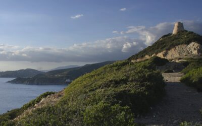 Sa Passillada Sinnaesa 19 maggio 2024